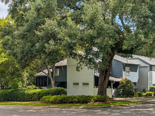 Community Photo
